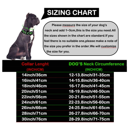 the ALPHALUX STEEL COLLAR - 32mm Gold Dog Collar - Stainless Steel Metal - Pet Choker Lead for Medium/Large Dogs, Pet Accessories, Labrador, Rottweiler