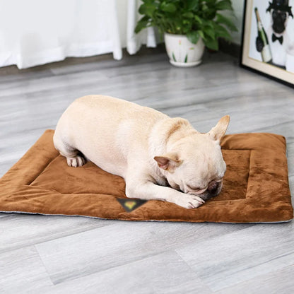 XS-3XL Warm Soft Pet Bed Mats Plush Pet Sleeping Mat for Dog Bed for Small Large Dogs Blanket Cat Bed Thermal Cat Mat Cushion ﻿