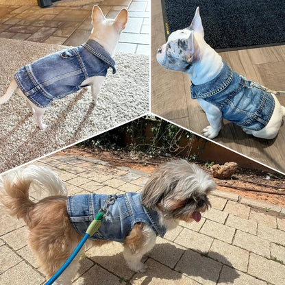 Dog Jeans Jacket ,Cool Puppy Summer Clothes ,Dog Denim Shirts for Small Boy Dogs Cats Outfits Washable Durable Harness Vest