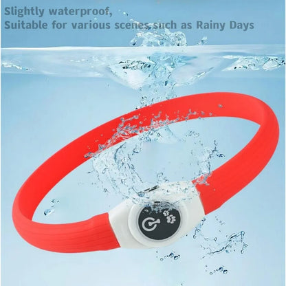 the NIGHTBEAM GLOW COLLAR - New Led Luminous Dog Collar, PVC Waterproof for Large/Medium/Small Dogs, Collar USB Light Night Safety, Pet Glowing Accessories