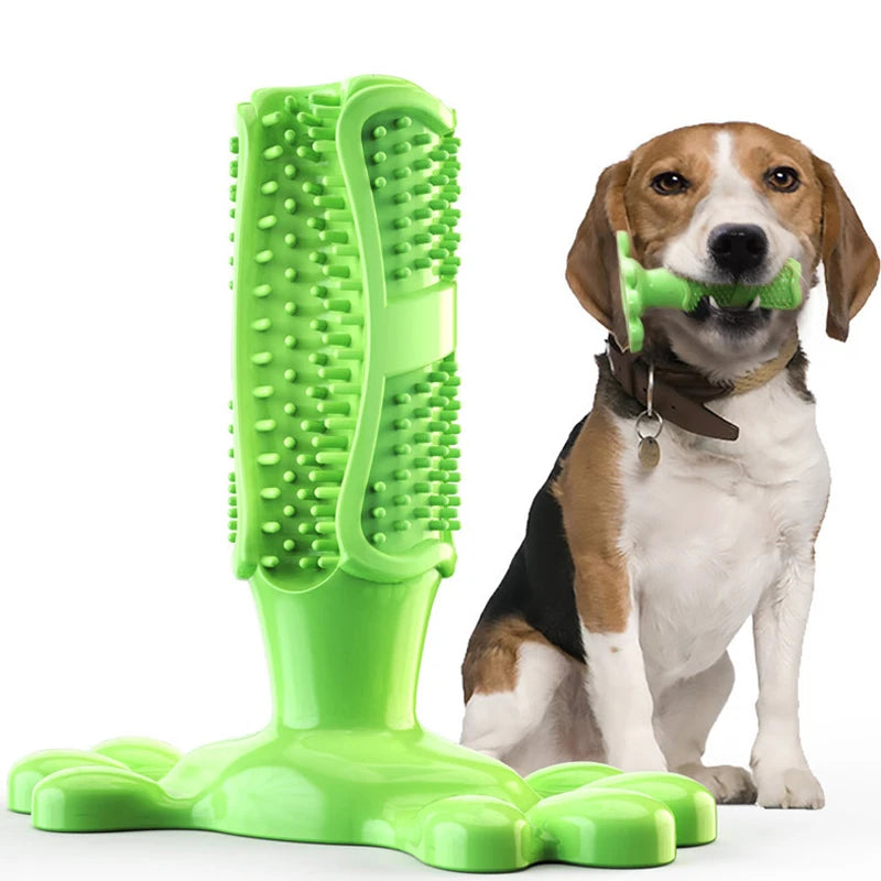 Pet Dog Cactus Interactive Rubber Bite Resistant Chew Toys Small Large Dogs Tooth Cleaning Toothbrush Treat Dispenser Molar Toy