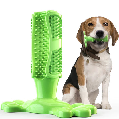 Pet Dog Cactus Interactive Rubber Bite Resistant Chew Toys Small Large Dogs Tooth Cleaning Toothbrush Treat Dispenser Molar Toy