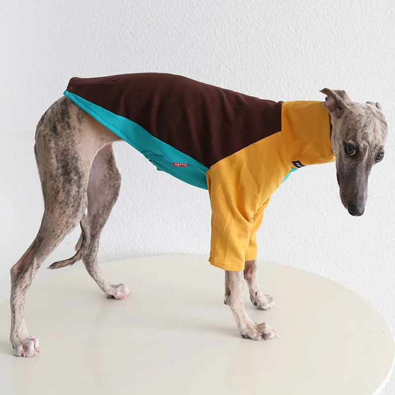 8colors Italian Greyhound Hound Two-Legged Clothes Fashionable Multicolor Soft Comfortable Elastic Fashion Patchwork Dog Clothes