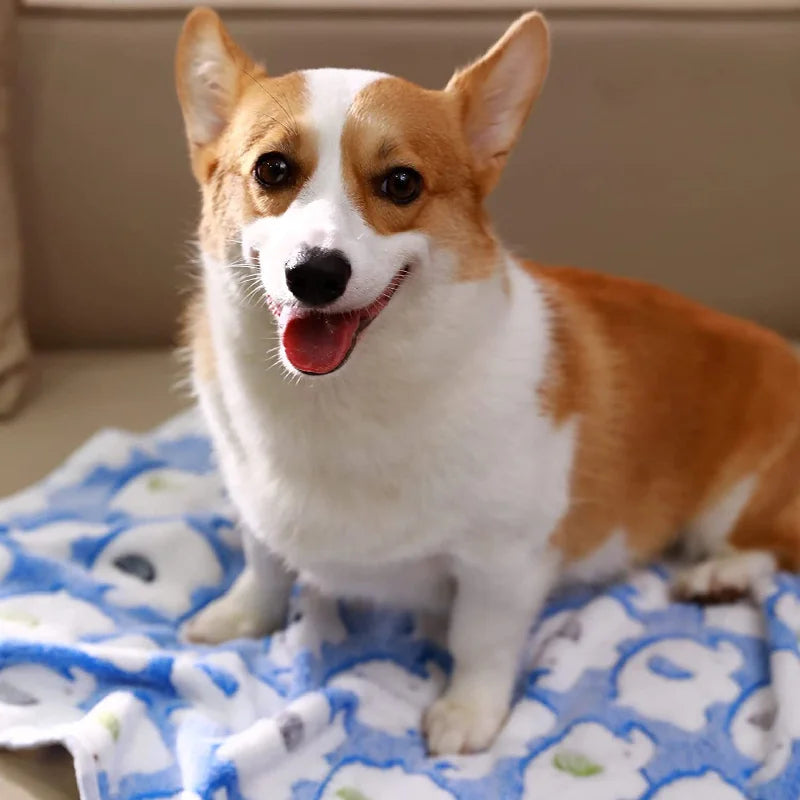 Soft Fluffy Pet Blanket High Quality Flannel Dog Sleeping Blanket Paw Print Pattern Cartoon Pet Warm Comfortable Blanket Cat Mat
