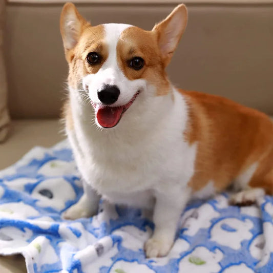 the PAWCUDDLE FLANNEL BLANKET - Soft Fluffy Pet Blanket, High-Quality Flannel Dog Sleeping Blanket, Paw Print Pattern Cartoon Pet Warm Comfortable Blanket, Cat Mat