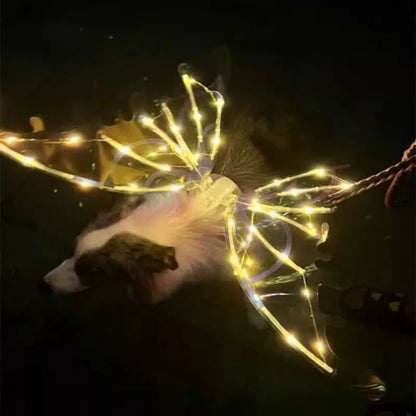 the GLOW WINGS - Dog Butterfly Wings, Pet Glowing Wings, Puppy Summer Clothes, Decorative Samoyed/Husky Medium Dogs
