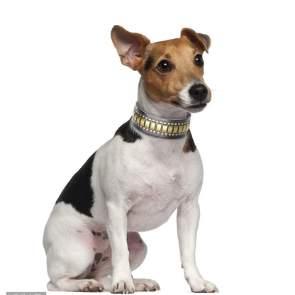 the STUD & SPARK ELITE COLLAR - Luxurious Dog Real Leather Collar, Cool Spiked Studded Pet Collars, Jeweled Leather Dogs Collars, Necklace for Pet Show, Bulldog