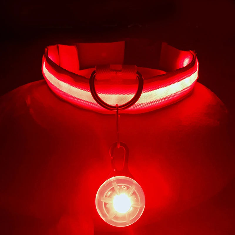 the LUXEGLOW LED SAFTERY COLLAR - USB Charging Glowing Dog Collar with Pendant, Detachable Luxury LED Light, Bright for Small Dogs/Cats, Night Safety Collar