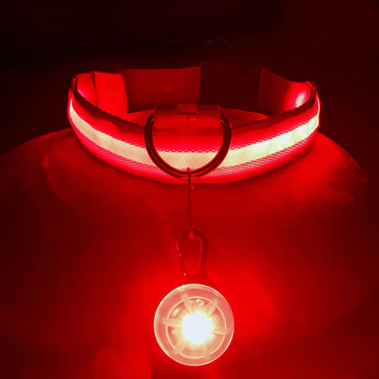 the LUXEGLOW LED SAFTERY COLLAR - USB Charging Glowing Dog Collar with Pendant, Detachable Luxury LED Light, Bright for Small Dogs/Cats, Night Safety Collar