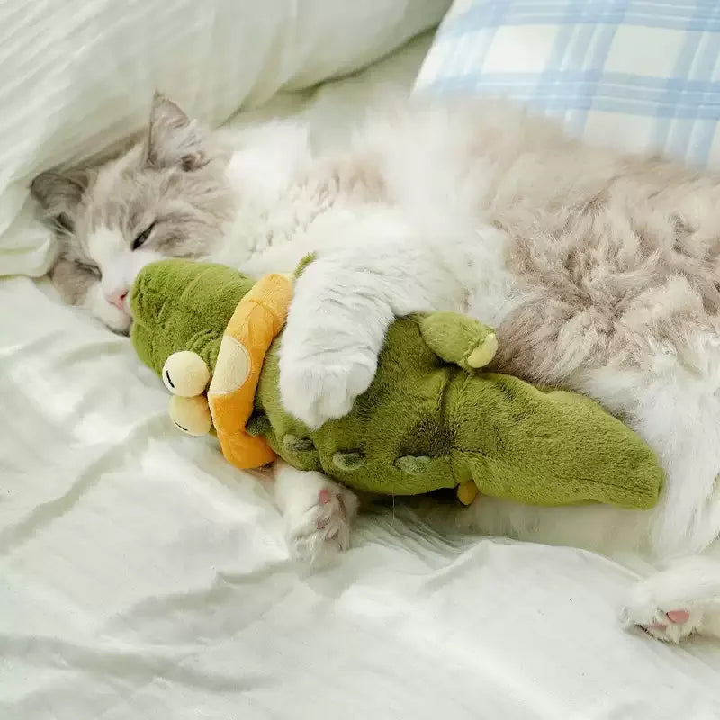 Interactive Dog Toys with Automatic Flapping Plush Squeaky Toys for Dog Durable Teething Toys Indoor Self-play Ipawspace