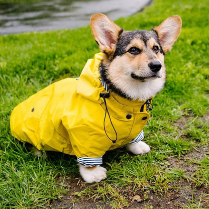 the PENNYWISE COAT - Fashion Raincoat for Dogs, Waterproof Raincoat Jacket Coat, Windproof for Small/Medium/Large Dogs Pet Fashion Clothes