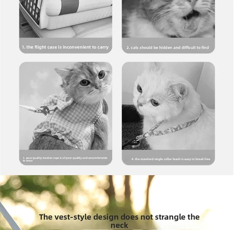 Harness for a Dog Harness Guard Harnesses for Dogs Pet Puppy Big the Small Breed Medium Anatomical Large Breeds Goods Product