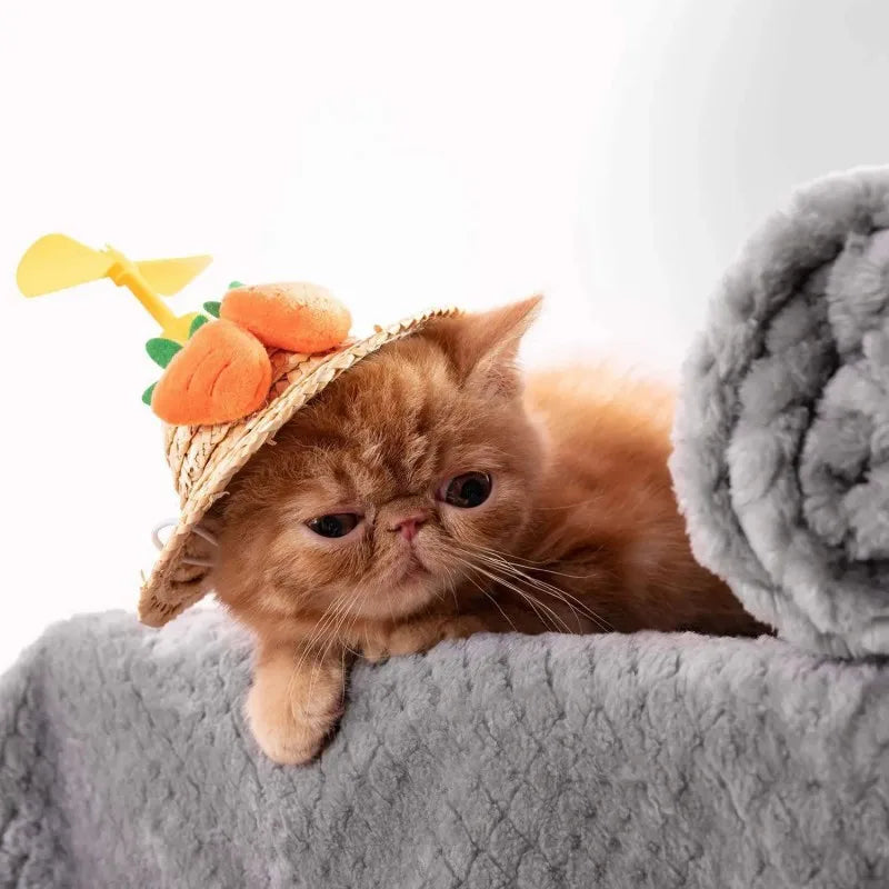 Soft Pet Blanket Plush Dog Sleeping Blanket Solid Color Washable Sofa Pad Portable Warm Cat Bed Blanket Home Carpet Pet Supplies