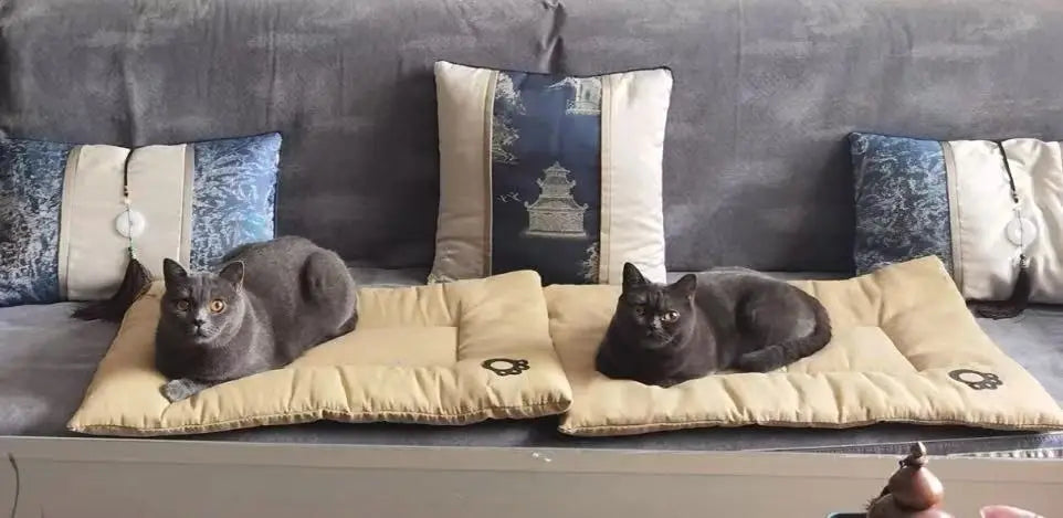 Dog Pet Beds Extra Large Dog Bed Sofa Cat Bed Four Season Cotton linen Mat Scratch-resistant wear-resistant Pet Cushion Cat Mat