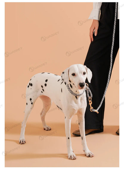 the SIMPLESTRIDE DOG COLLAR - Pet Dog Lead Rope Simple Trendy Style Collar, Leashes for Small/Medium and Large Dogs, Bulldog, Alaskan Malamute, Corgi, Teddy Dog