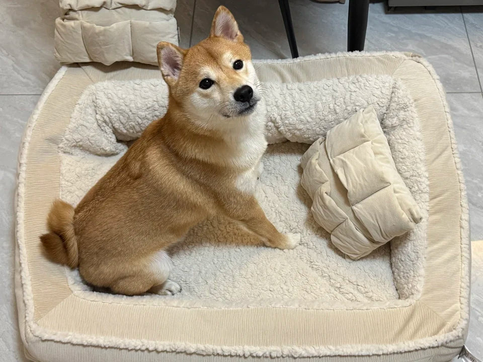 Winter Warm Dog Kennel High Elasticity Sponge Dog Beds Removable Washable Cat/Dog Sofa for Medium-sized Dogs Pet Supplies