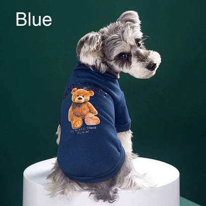 the GOOD DAY TEDDY - Pet Clothes, Cartoon Bear Pet Shirt, Puppy Clothes, Pet Jacket for Small/Medium Dog/Cat, Chihuahua Costume, Dogs Winter Cute Costume