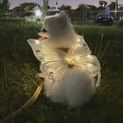 the ANGEL WINGS - Cute Glowing Dog Wing Butterfly for Small/Medium Dog Clothes, Sweet Gift Pet Back Decoration