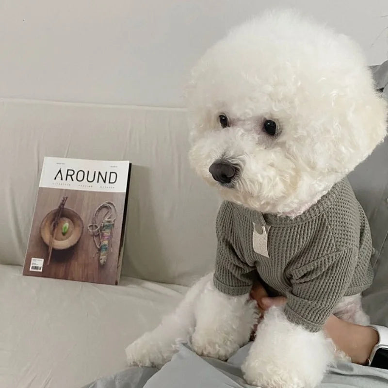 Pet Dog Shirt for Small Dogs Fashion Dog Clothes Spring Puppy Pullovers Cute Solid Cat Bottoming Shirt Pet Sweatshirts Dog Vest