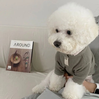 Pet Dog Shirt for Small Dogs Fashion Dog Clothes Spring Puppy Pullovers Cute Solid Cat Bottoming Shirt Pet Sweatshirts Dog Vest