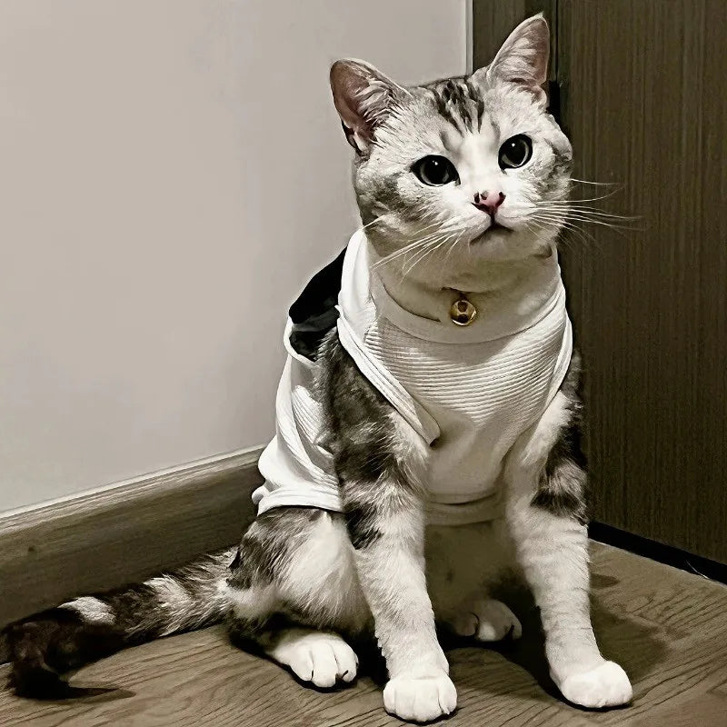 Cute Pet Vest Breathable Waffle Knit Soft and Comfortable with Traction Buckle Suitable for Spring/summer Dog and Cat Vest