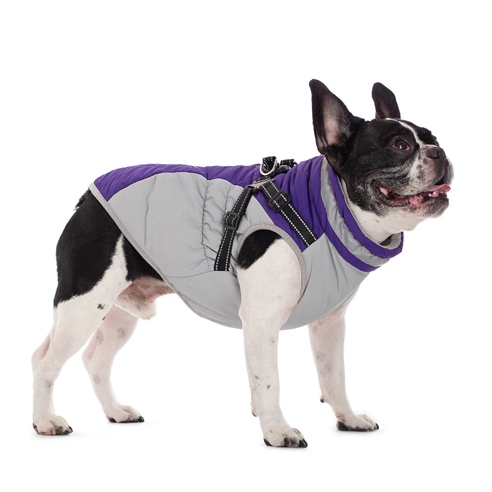 the PAWARMOR HARNESS JACKET - Waterproof Pet Jacket with Harness, Winter Warm Dog Clothes for Small/Large Dogs, Labrador Coat, Chihuahua, French Bulldog Outfits