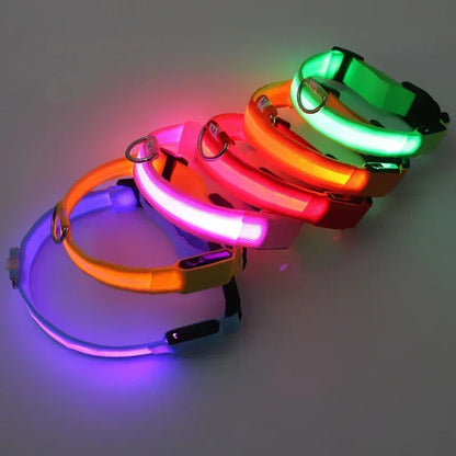 the LUMAGLOW ANTI-LOST COLLAR - LED Glowing Dog Collar, Adjustable Flashing Rechargeable Luminous Collar, Night Anti-Lost Dog Light Harness for Small Dog, Pet Products