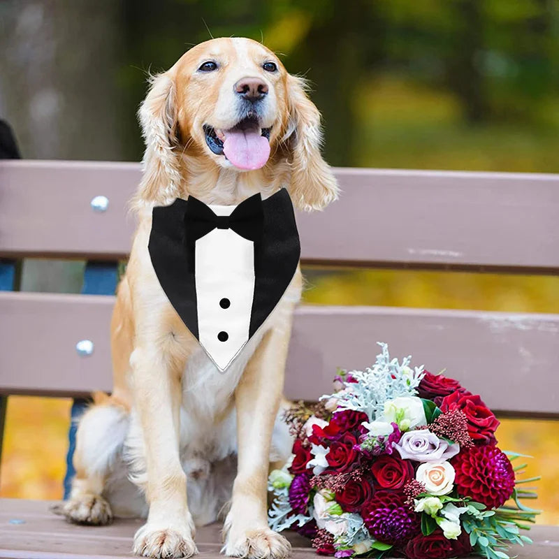 the TUXEDO DOGGY - Bow Tie Dog Collar Tuxedo Bandana, Adjustable Formal Puppy Triangle Neck Wear for Wedding/Birthday, Dress-up, Cosplay, Party