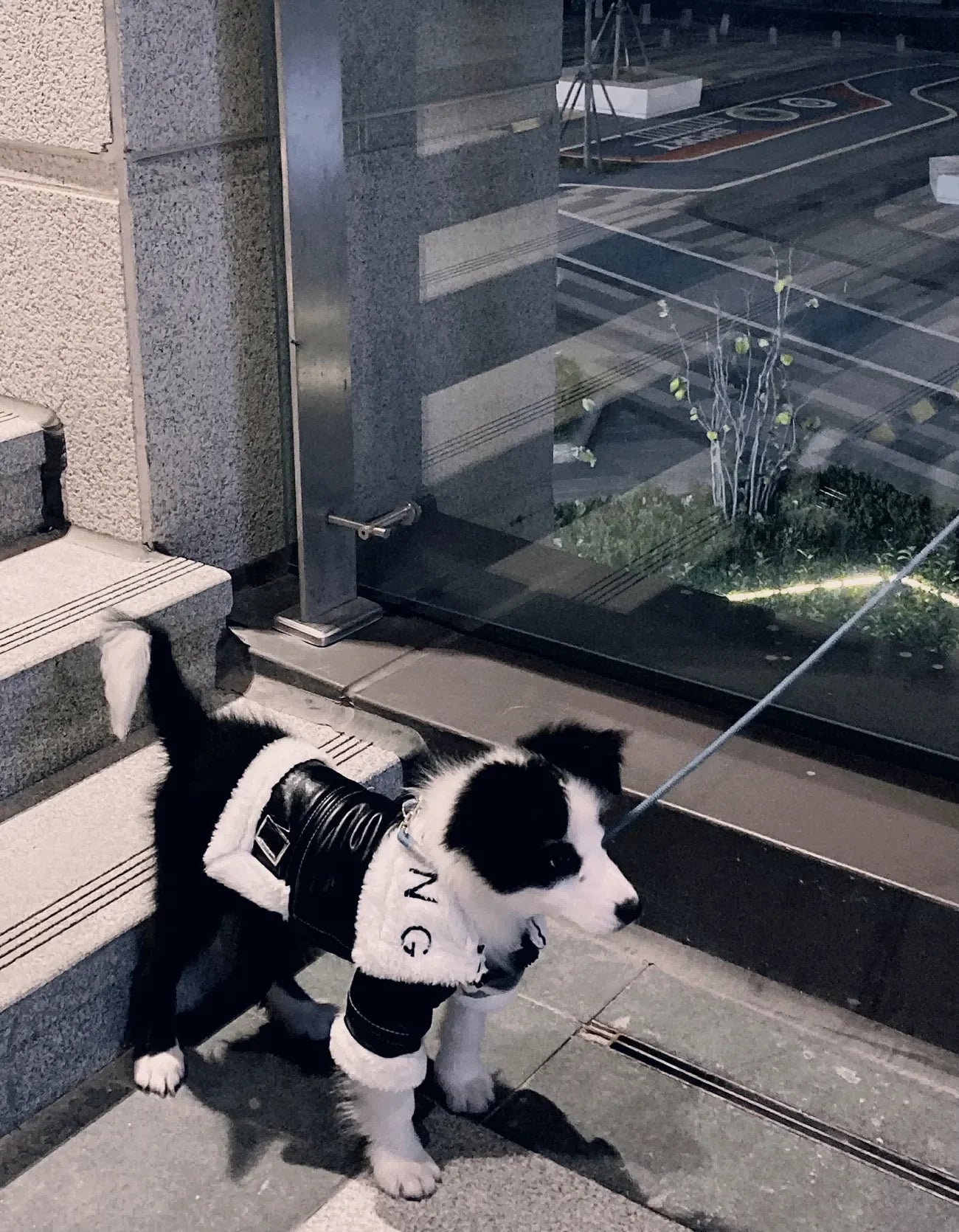 the BIKER DOG - Thickened Fur Integrated Motorcycle Jacket, Pet Clothes, Winter Clothing, Small Dog, Teddy, Pomeranian, Schnauzer