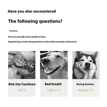 New Sell Well Plush Dog Toy Animals Shape Bite Resistant Squeaky Toys Corduroy Dog Toys For Small Large Dogs Puppy Pets Toys