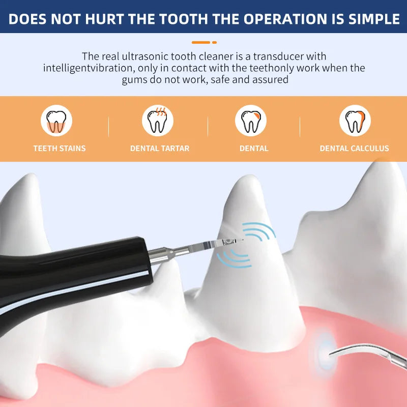 Ultrasonic Portable Electric Dog Toothbrush Professional Plaque Calculus Removal Teeth Whitening for Pet Dental Care