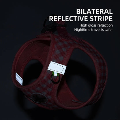 the PLAIDBUDDY HARNESS - Puppy/Kitten Chest Strap, Fresh Plaid Kitten/Puppy Leash, Anti-Break Adjustable Reflective Pet Chest Strap, Small Dog/Kitten Chest