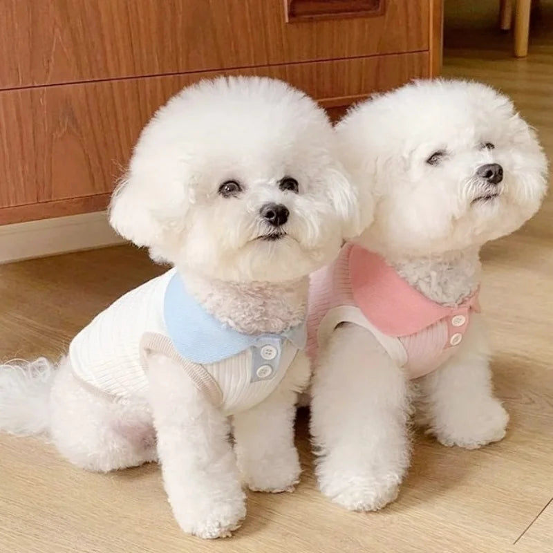 Summer Pet Dog Polo Shirt Breathable Dog Clothes Fashion Puppy Vest Cute Solid Cat Shirt Soft Pet Costumes Chihuahua Dog Clothes