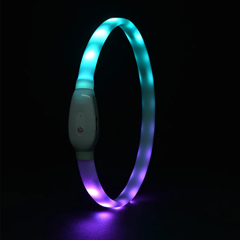 the GLOWGUARD COLLAR - USB Rechargeable Glowing Collar for Large and Small Dogs, LED Glowing Dog Collar - 9 Flashing Modes - Adjustable Soft Silicone Collar