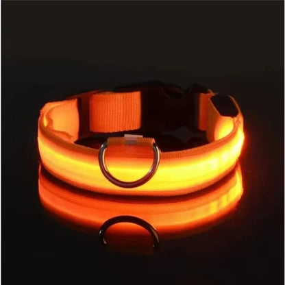 the GLOWTRAIL NIGHT COLLAR - BOOTEELY Nylon LED Night Safety Flashing Glow-in-the-Dark Dog Collar, Dogs Luminous Fluorescent Pet Dog Collar