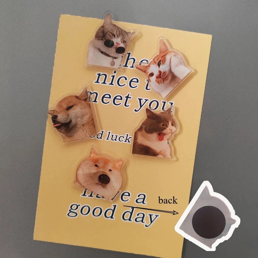 5pcs cute and Fun Cat Dog Refrigerator Magnets Creative Fridge Photo Message Magnet Decorative