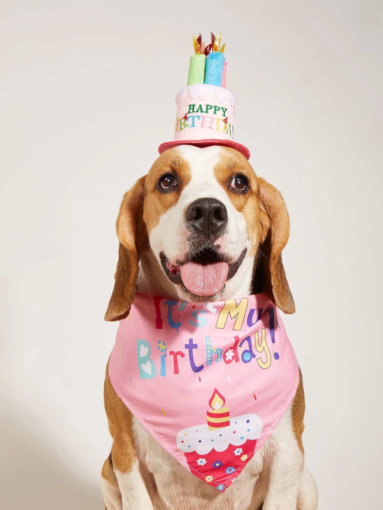 Dog Happy Birthday Decoration Dog Costume Hats Bowknot Bandana Neckerchief Bibs Banners Party Cat Dog Pets Accessories Perros