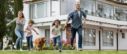 the POWERPULSE E-TRAINER - [New Edition] Dog Shock Collar with Remote - Dog Training Collar for Large/Medium/Small Dogs, Waterproof Rechargeable E-Collar