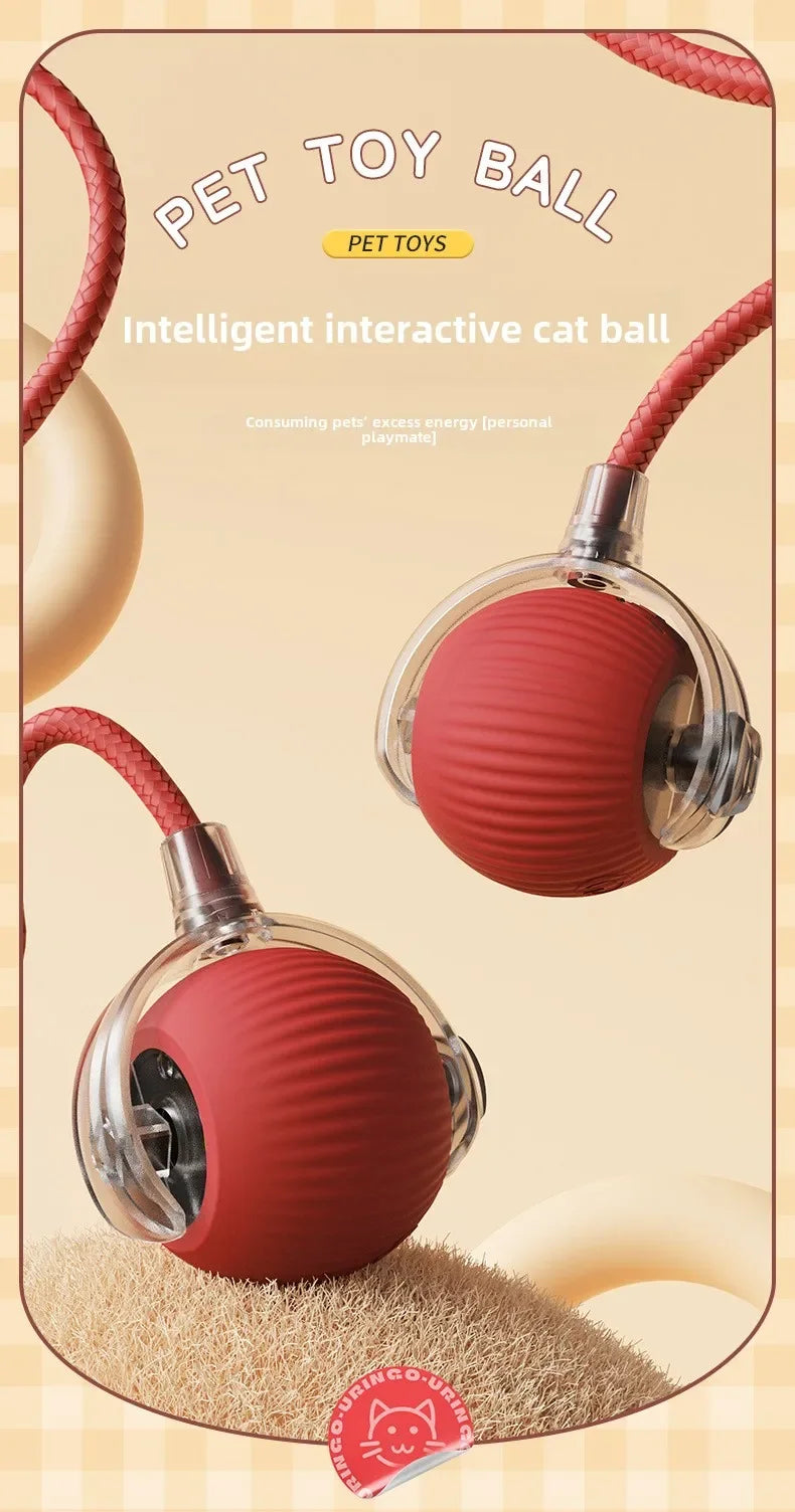 Interactive Dog Toys Rechargeable Pet Interactive Toys Electric Cats Ball  Automatic Rolling Fake Tail Ball Dog  Cats Toy