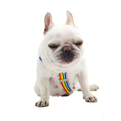 the PAWSECURE DIAPER & BELLY BAND SUSPENDERS - Dog Diaper Suspenders Adjustable Harness Doggie Diapers Suspenders Female Belly Bands for All Dogs Pet Pant Skirt Clothes Keeper