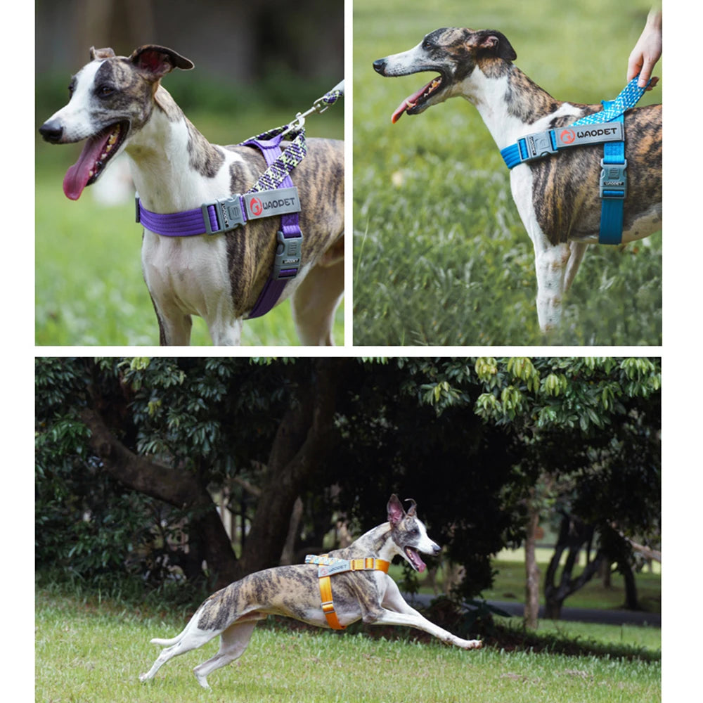 Large Pet Dog Reflective Harness Cat Chest Strap Adjustable Small Medium Dog Puppy Harness Vest Teddy Outdoor Walker Lead Leash