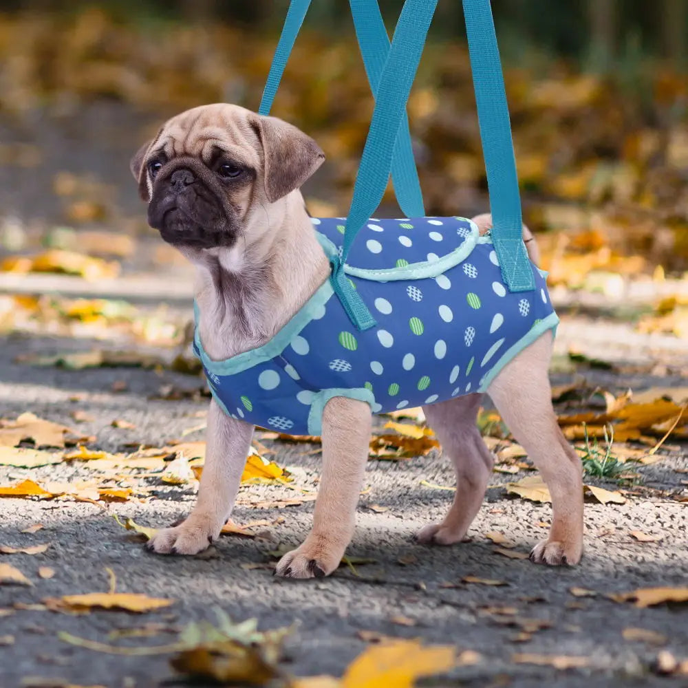 Breathable Pet Carrier Bag for Small Dogs Cats Cozy Puppy Outdoor Travel Handbag Chihuahua Pug Carrier Suit for Pets Within 5kg