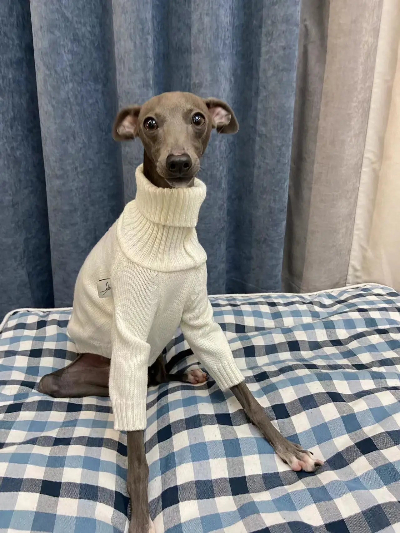 Italian Greyhound Sweater Whippet Turtleneck White Knitted Sweater Warm Pet Clothing