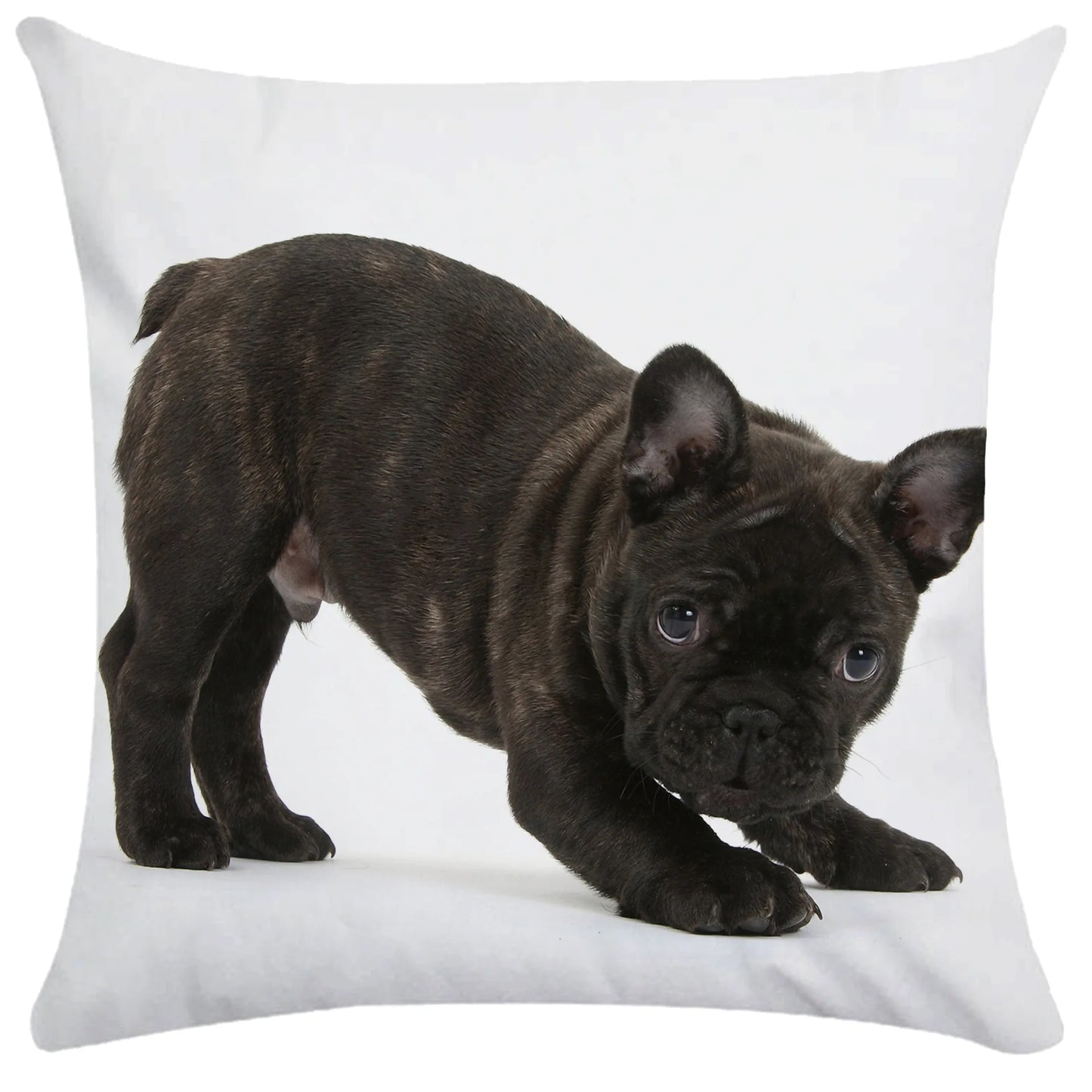 French Bulldog Dog Cushion Covers Dog Painting Pillowcase Decorative Pillow Covers Bedroom Sofa Home Decoration 45X45cm Car Seat
