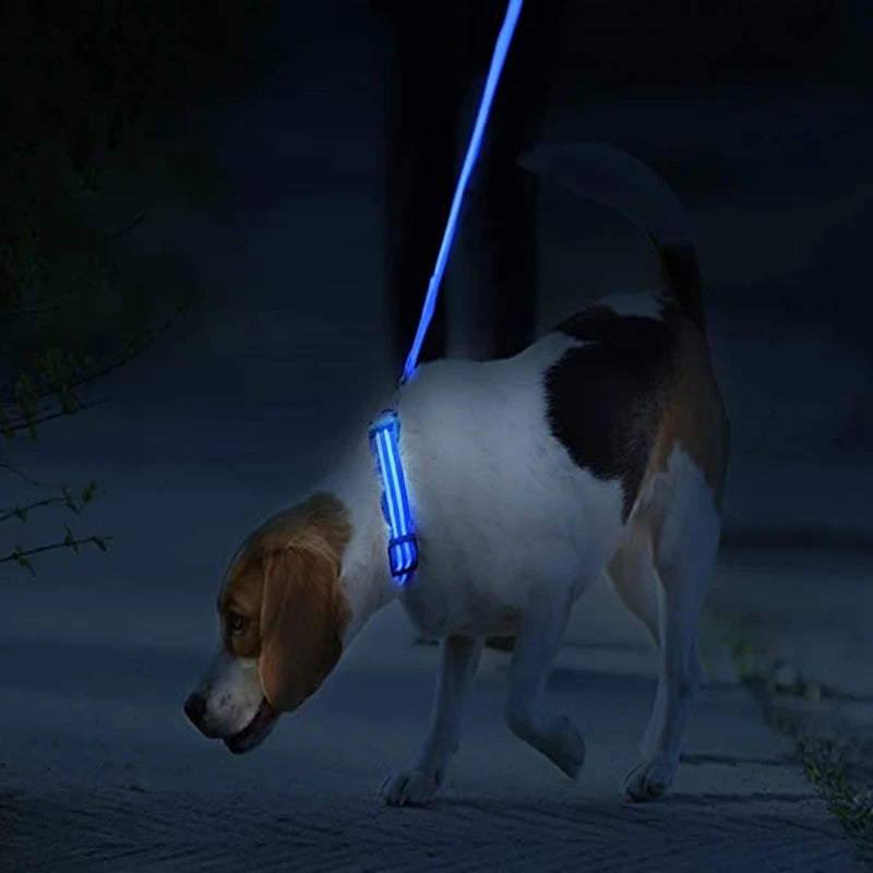 the TRIGLOW SAFETY COLLAR - 3 Modes Dog Luminous Charge Collar, Led USB Cat/Dogs Collars, Detachable Night LED Glow, Dog Loss Prevention Collar, Pet Accessories