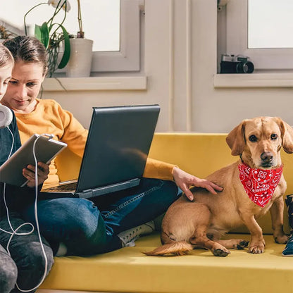 Adjustable Pet Puppy Cat Scarf For Cat Small Medium Large Dogs Bandana Collar Birthday Party Dress Up Pet Accessories