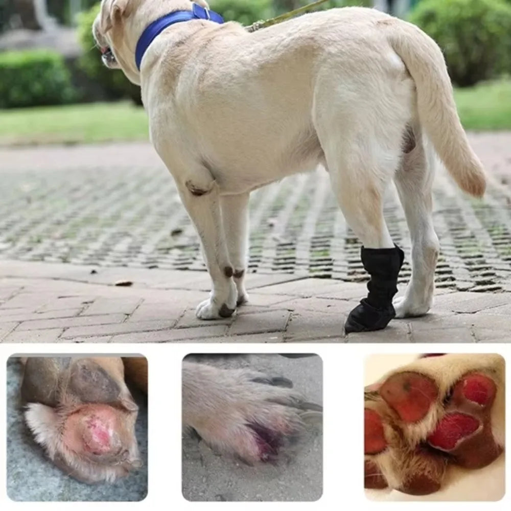 the PAW PROTECTOR - New Anti-Lick Dog Paw Protection Boot, Post Surgical Wound Recovery Dog Paws, Protector Waterproof Pet Supplies