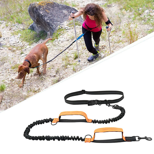 the RUNMATE HANDS-FREE LEASH - Retractable Hands-Free Dog Leash for Running, Double Handles Elastic Cord Reflective Large Dog Leash, Pet Supplies