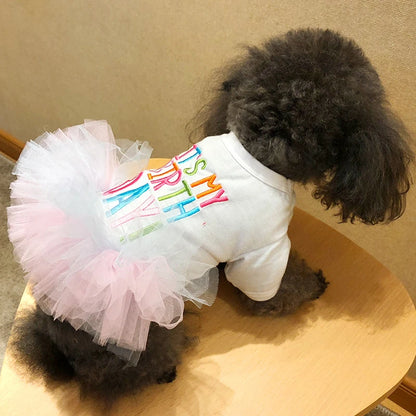 Layered Rainbow Veil Puppy Summer Clothes for Small Dogs Birthday Short Sleeve Pet Dog Dresses Princess Summer New Cat Clothing