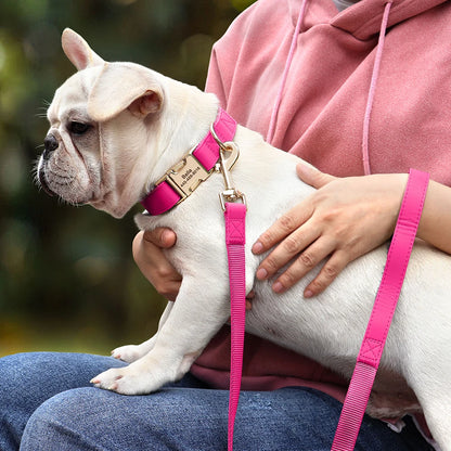 the MY NAME MY PAWS CUSTOM SET - Personalized Dog Collar/Leash Set, Custom PU Leather Dog Buckle Collars/Necklace, Pet Walking Leash for Small/Medium Dogs, Pitbull